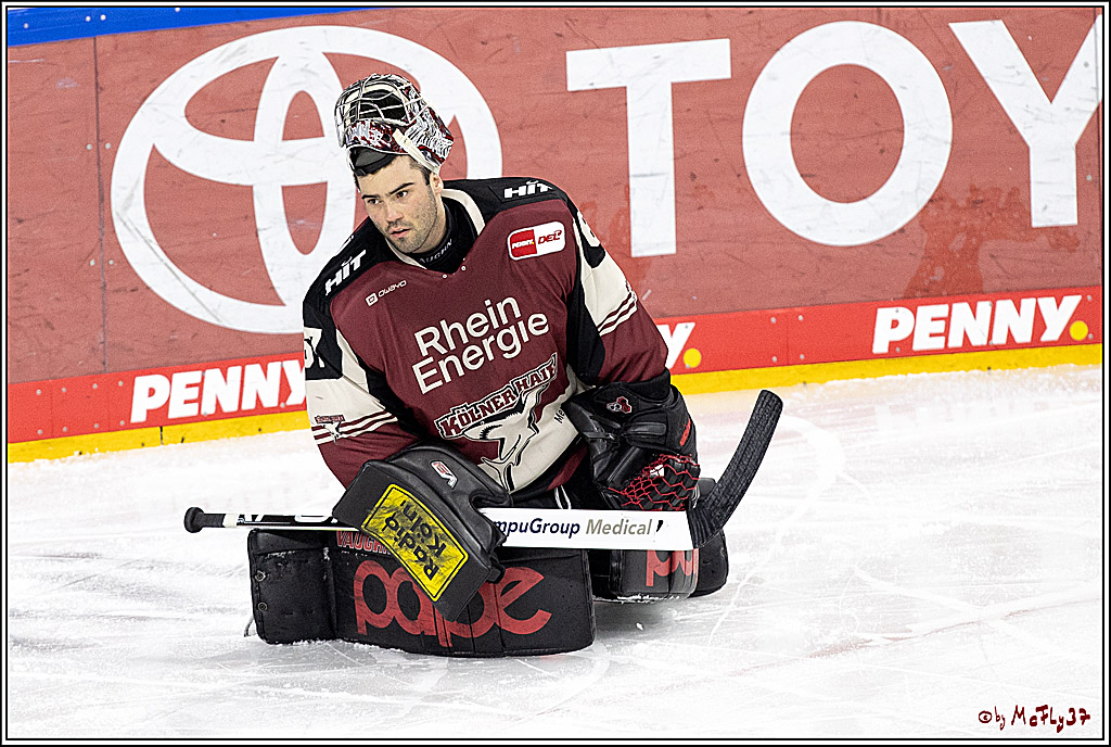 PENNY DEL;  Koelner Haie - ERC Ingolstadt; Koeln, 01.04.2021